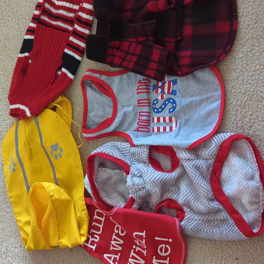 Dog clothes.    G1